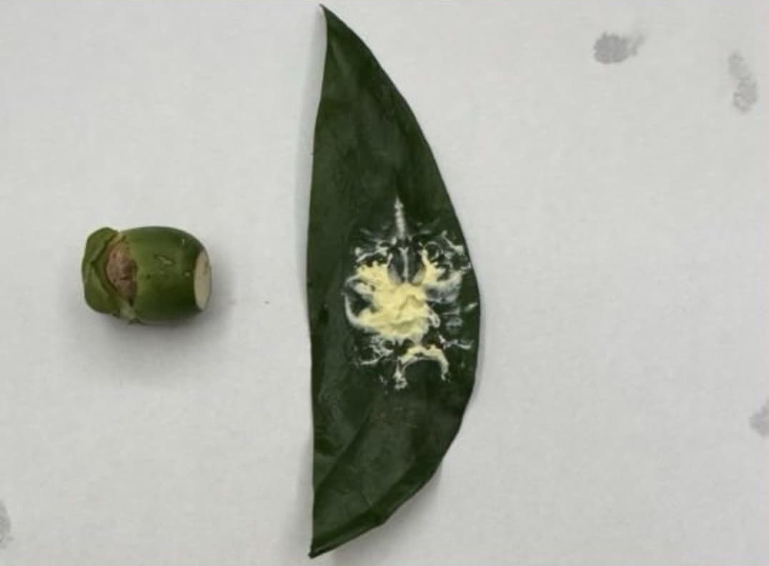 how to spray white ash
